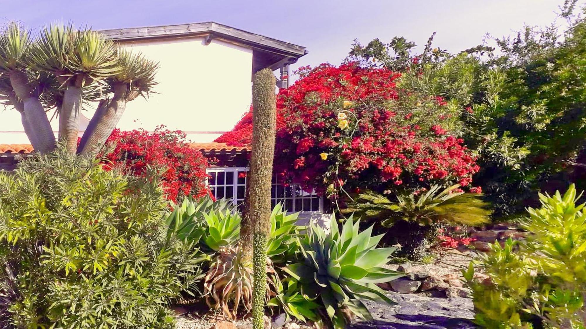 -Casa Azul-Arico Viejo La Sabinita - Baden, Wandern, Klettern, Individualurlaub Jenseits Des Massentourismus, Villa Exteriör bild