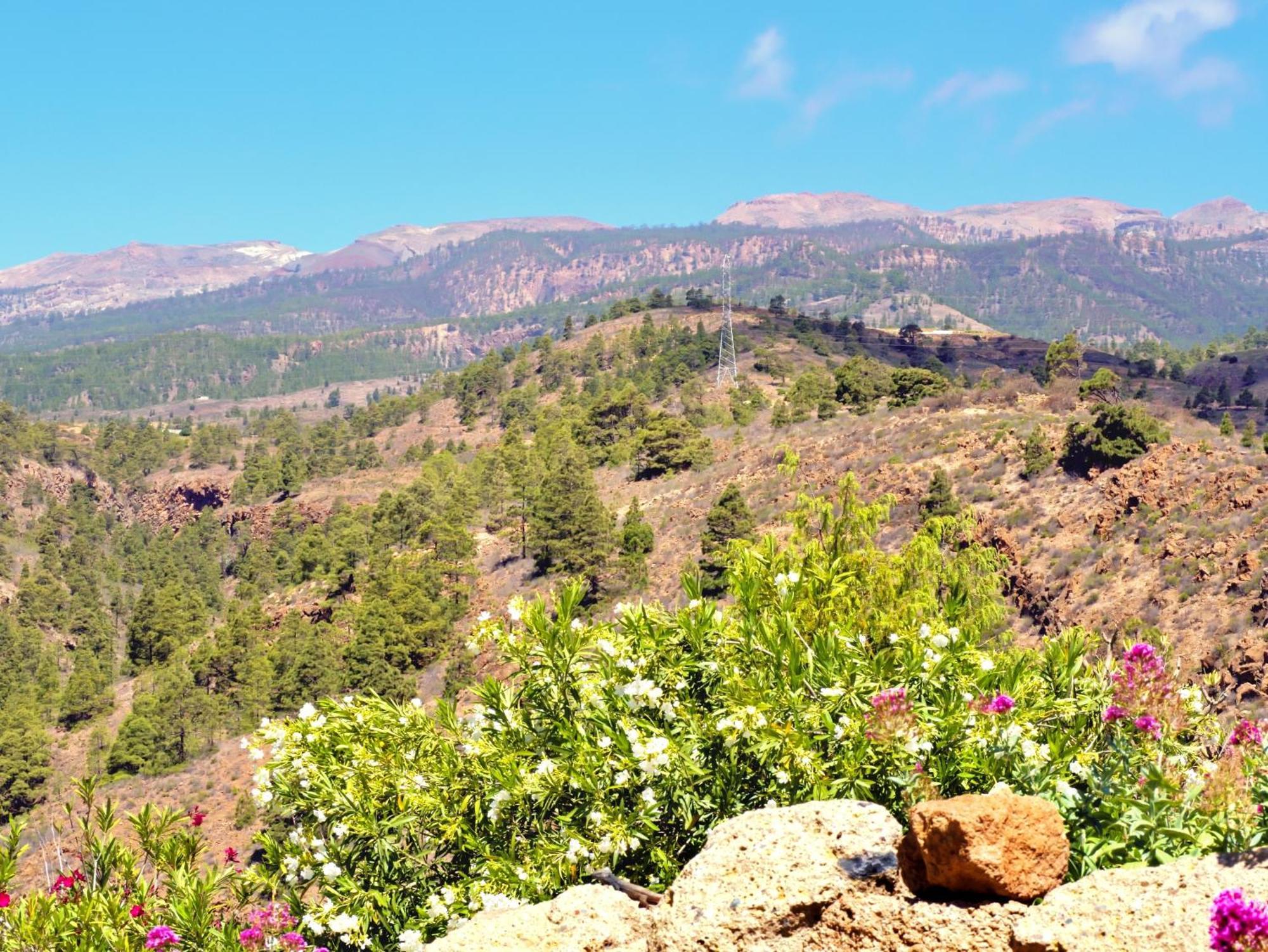 -Casa Azul-Arico Viejo La Sabinita - Baden, Wandern, Klettern, Individualurlaub Jenseits Des Massentourismus, Villa Exteriör bild