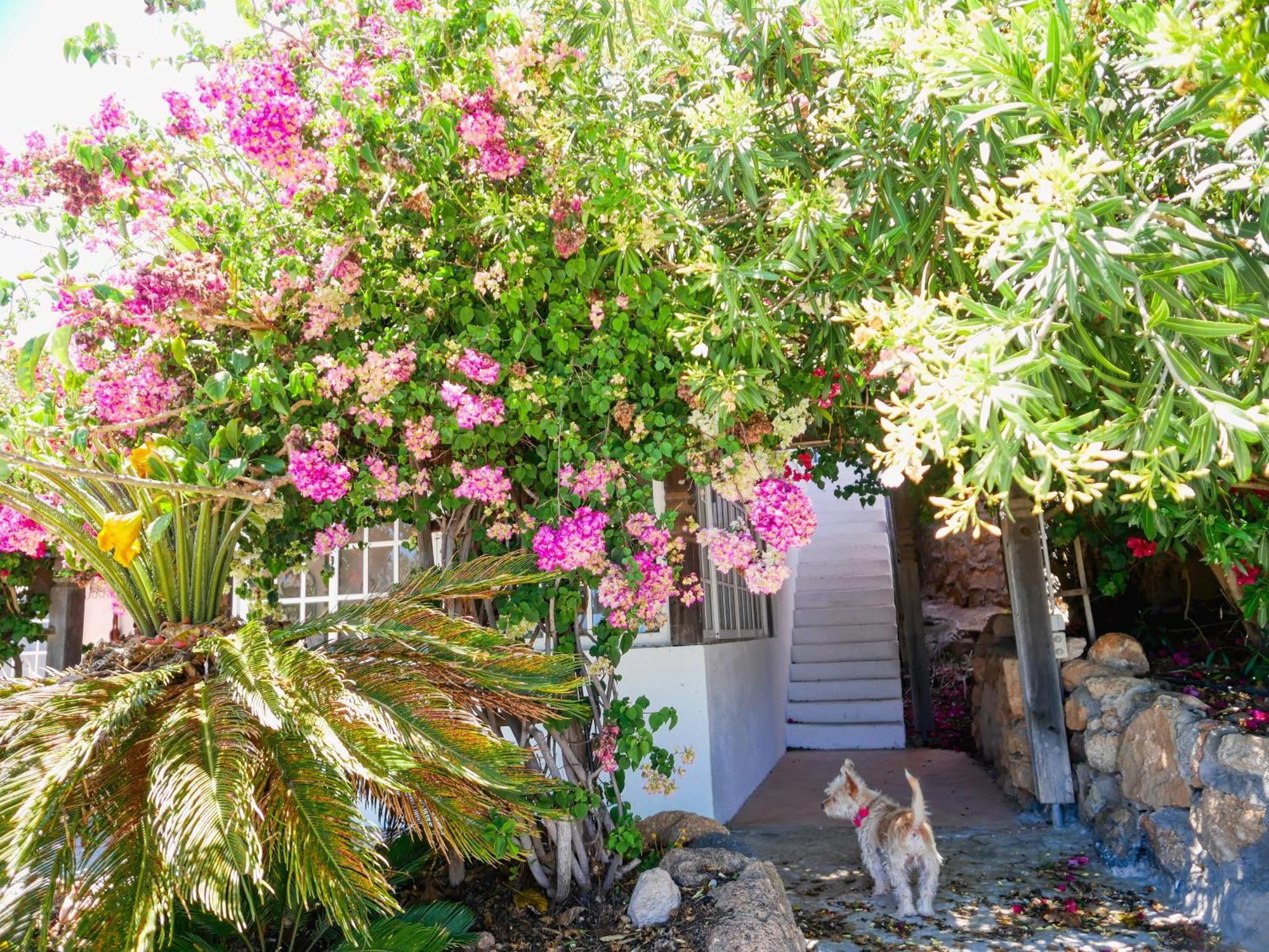 -Casa Azul-Arico Viejo La Sabinita - Baden, Wandern, Klettern, Individualurlaub Jenseits Des Massentourismus, Villa Exteriör bild