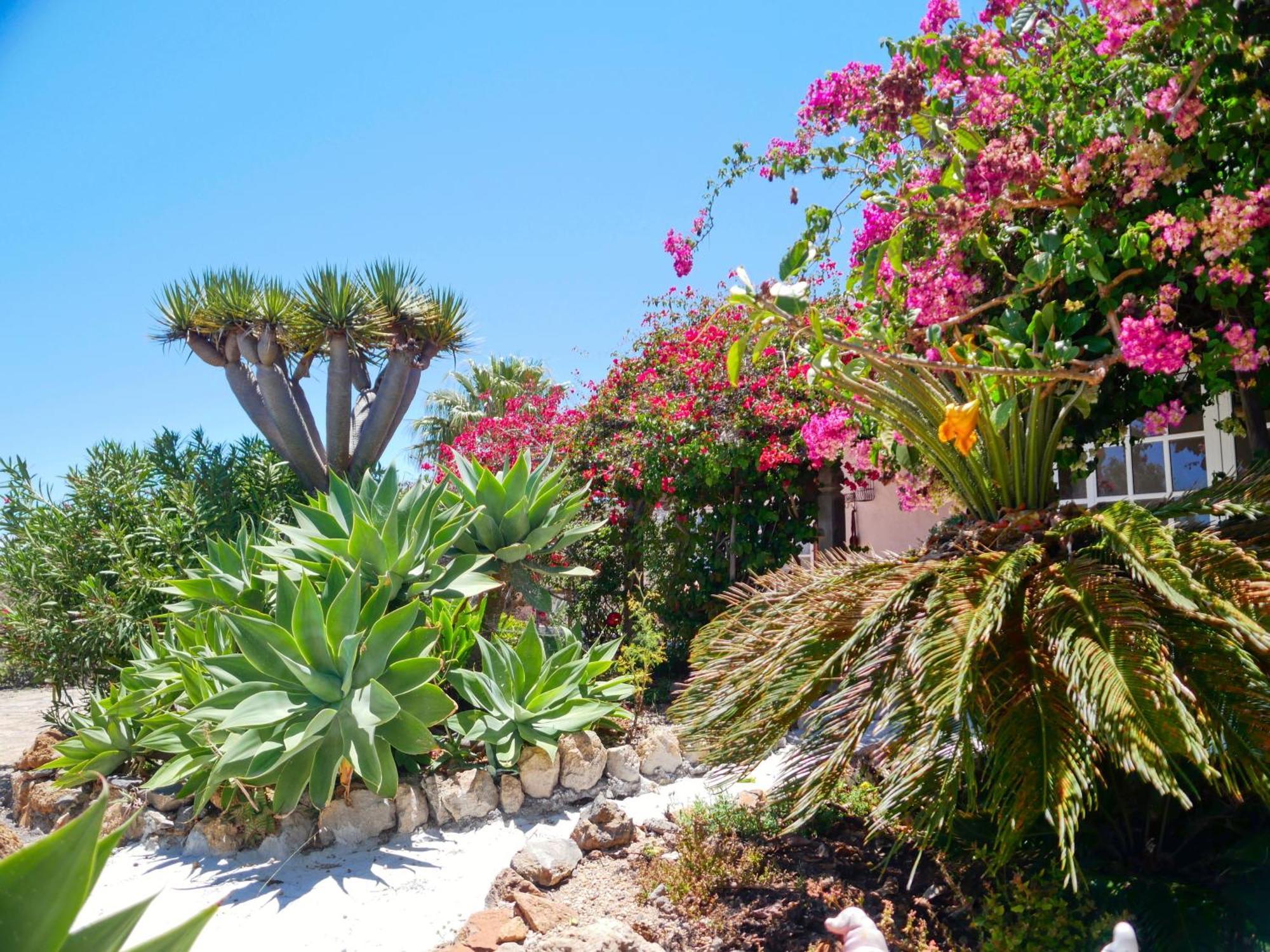 -Casa Azul-Arico Viejo La Sabinita - Baden, Wandern, Klettern, Individualurlaub Jenseits Des Massentourismus, Villa Exteriör bild
