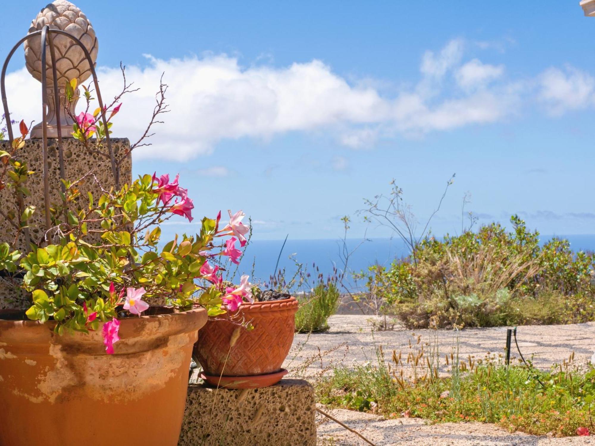 -Casa Azul-Arico Viejo La Sabinita - Baden, Wandern, Klettern, Individualurlaub Jenseits Des Massentourismus, Villa Exteriör bild